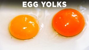 Salt-Cured Egg Yolks